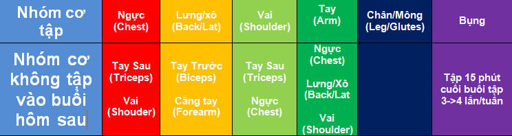 Nhóm cơ không nên tập vào các buổi hôm sau