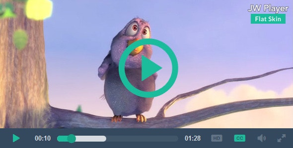 Flat Skin Retina for JWPlayer